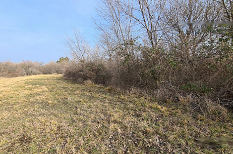 Дом, сельское хозяйство Тиньян, Урбанцы.: 4