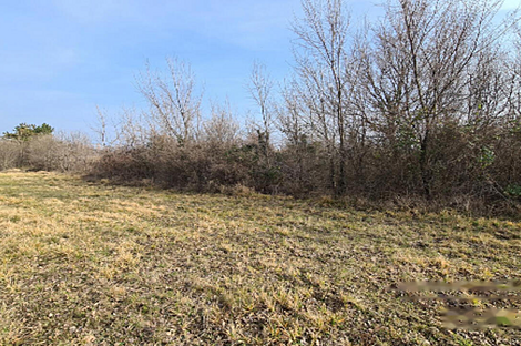 Дом, сельское хозяйство Тиньян, Урбанцы.: 5