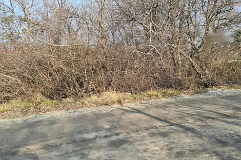 Дом, сельское хозяйство Тиньян, Урбанцы.: 6