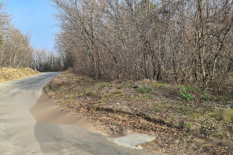 Дом, сельское хозяйство Тиньян, Урбанцы.: 7