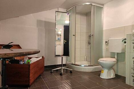 Дворянская усадьба, сельскохозяйственная ферма Видем возле Птуя.: 8