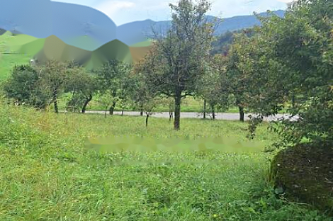 Дом, хозяйство Воловле: 1