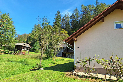 Дом, хозяйство Лончарев Дол: 4