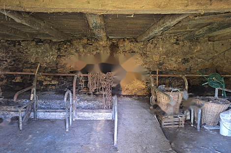 Дом, хозяйство Лончарев Дол: 10