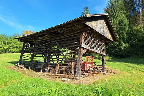 Дом, хозяйство Лончарев Дол: 12