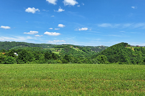 Забуковье - это дом, обладающий чертами фермы.: 11