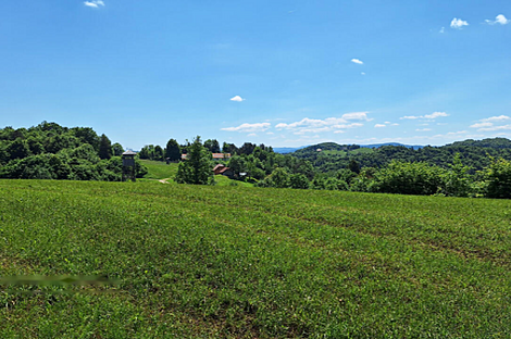 Забуковье - это дом, обладающий чертами фермы.: 12