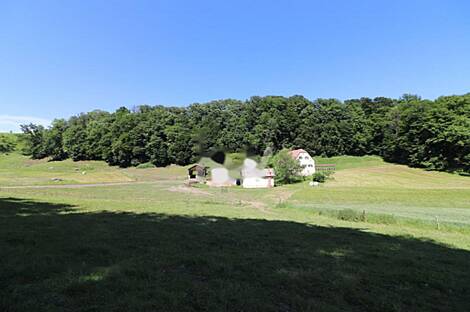 Дом, хозяйство Поченик.: 1