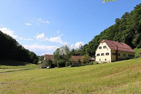 Дом, хозяйство Поченик.: 3