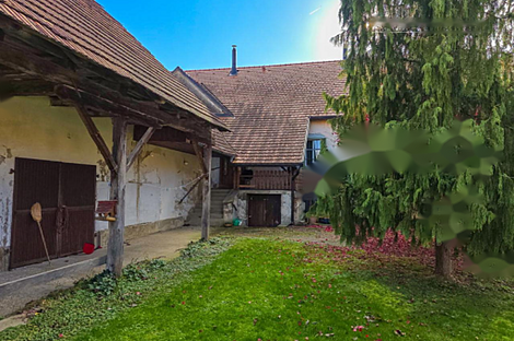 Дом, сельское хозяйство в Лукавцах: 8