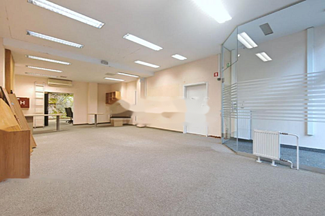 Шишка - пространство для работы в офисе.: 2