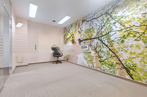 Шишка - пространство для работы в офисе.: 9