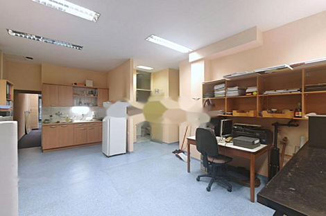 Шишка - пространство для работы в офисе.: 13