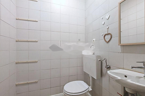 Помещение для коммерции Шишка: 6