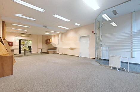 Шишка - коммерческое помещение.: 2