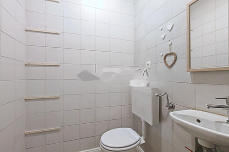 Шишка - коммерческое помещение.: 6