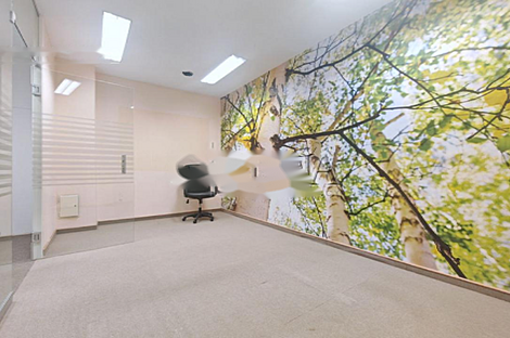 Шишка - коммерческое помещение.: 9