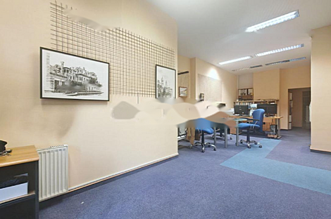 Шишка - коммерческое помещение.: 10