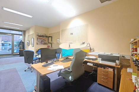 Шишка - коммерческое помещение.: 11