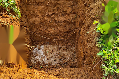 Чрномель, дом: 5