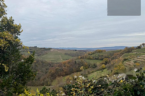 Новые Кожаны: дом с террасой: 8