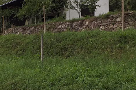 Штайнгроб дом: 13