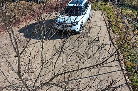 Штайнгроб дом: 18