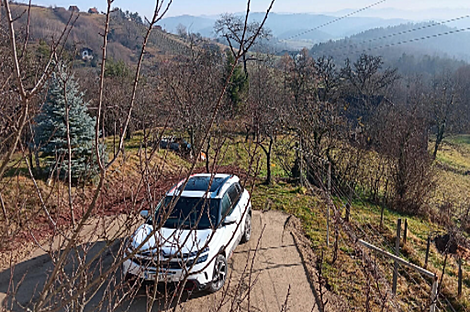 Штайнгроб дом: 20