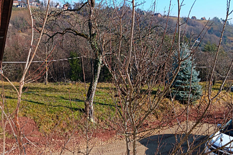 Штайнгроб дом: 21