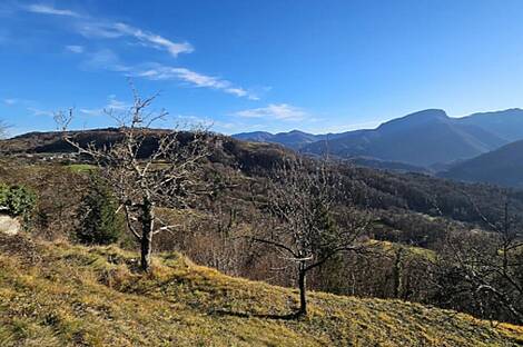 Дом, Плазовье: 20