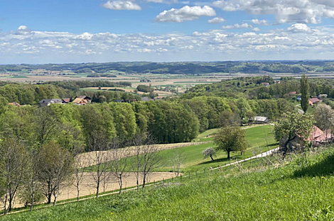 Здание Дестриник в районе Птуй.: 2