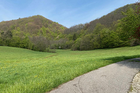 Дом, расположенный в Подлехнике: 13