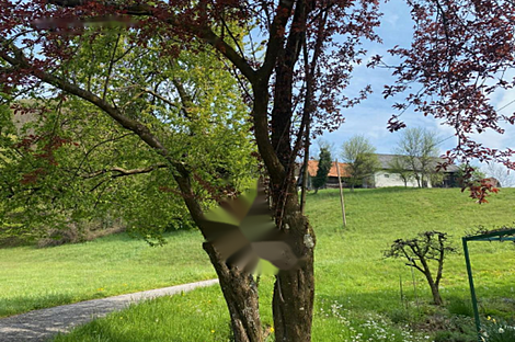 Дом, расположенный в Подлехнике: 14