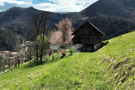 Дом в городе Нижняя Речица: 1