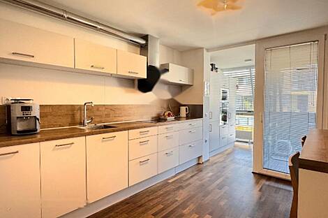 Трёхкомнатный дом в центре Любляны: 4