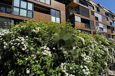 Трёхкомнатный дом в центре Любляны: 14