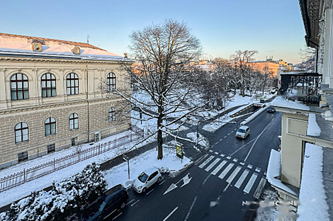 Квартира с тремя комнатами в центральной части города: 23