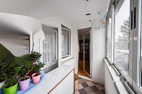 Шишка 3,5-комнатный дом: 12