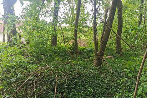 Обитель Друго Чагона: 12