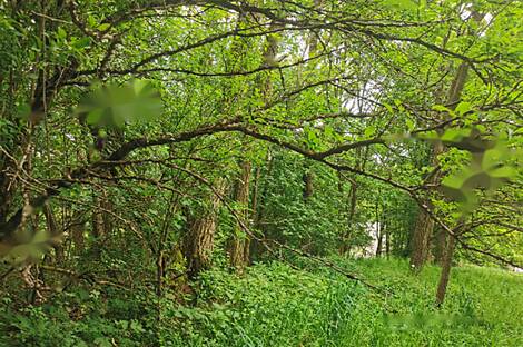 Обитель Друго Чагона: 13