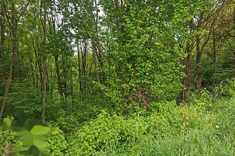 Обитель Друго Чагона: 15