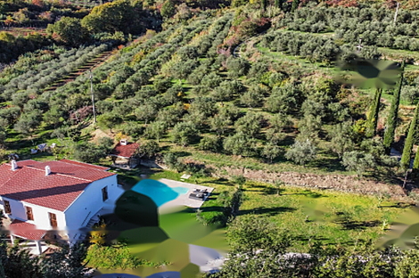 Копер, Семедела, дом: 15