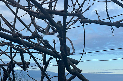 Дом, Порторож: 2