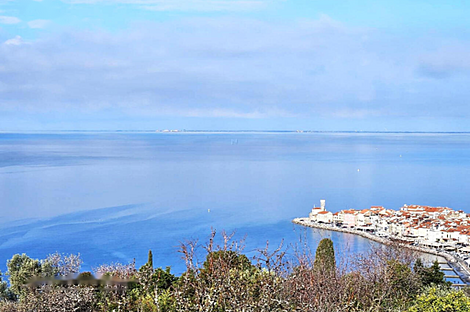 Дом на Элитной улице в Пиране: 1