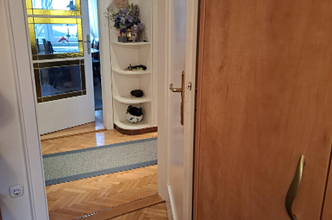 Трёхкомнатная квартира в районе Верхняя Шишка, Новая Любляна.: 4