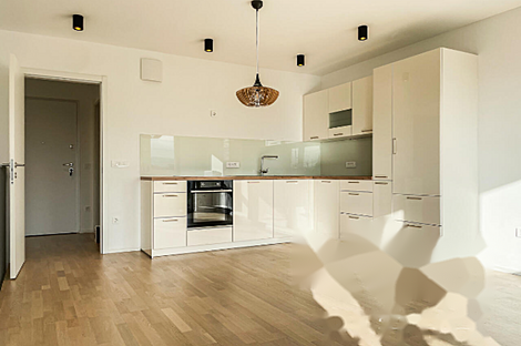 Трехкомнатная квартира, Новый Залог: 4