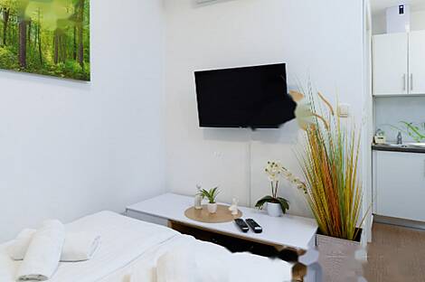 Жилье в центральной части Любляны: 8