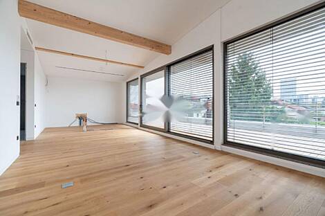 Новый многокомнатный дом в Любляне, район Бежиград.: 4