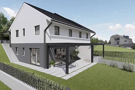 Дом, Двойня Новая Бесница: 1