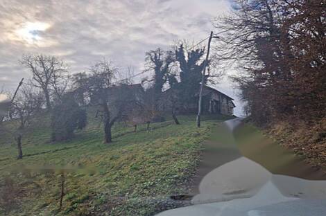 Берёзовая - поместье, ферма.: 6